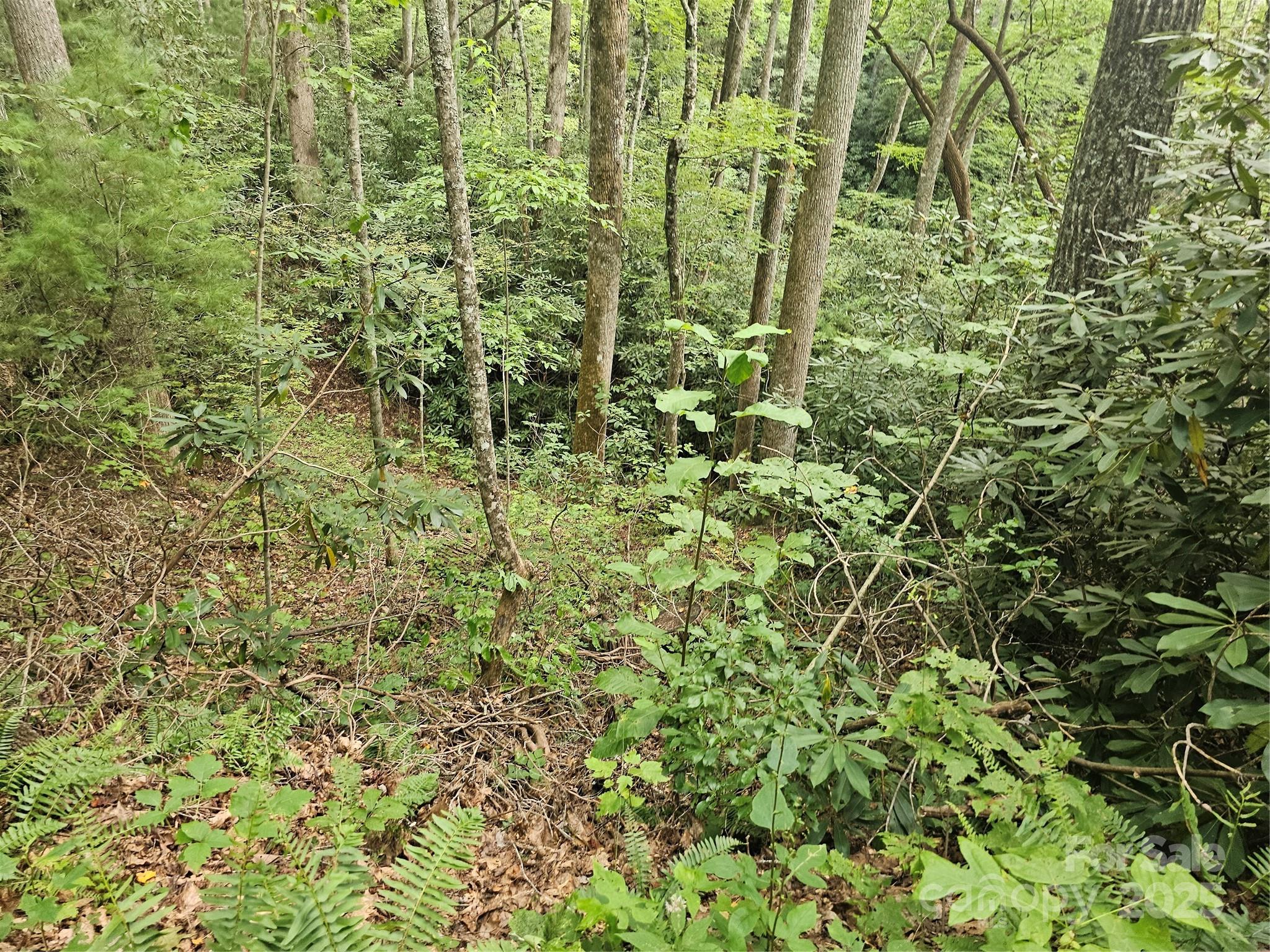 99999 Majestic Trace Hendersonville NC 28739