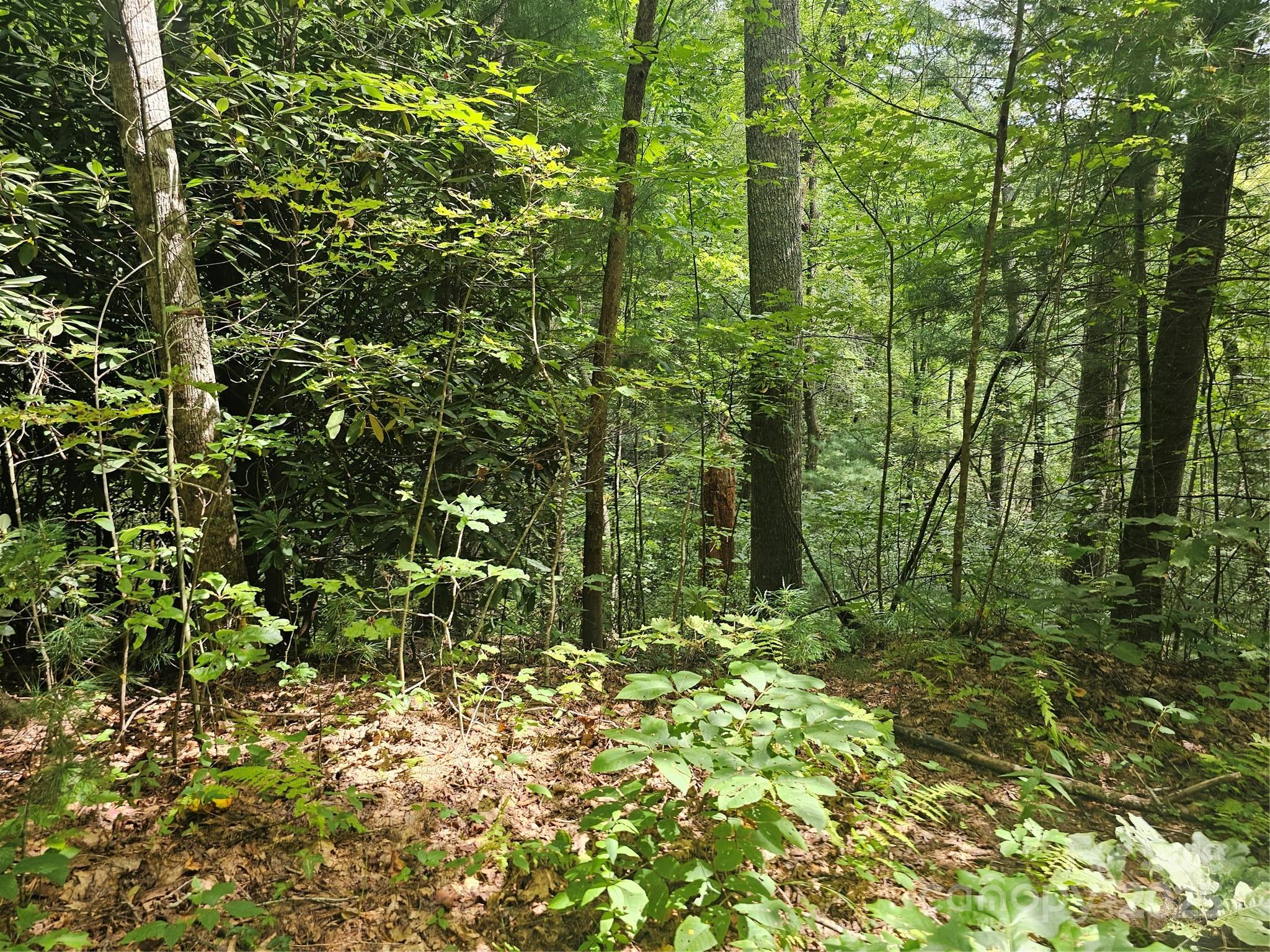 99999 Majestic Trace Hendersonville NC 28739