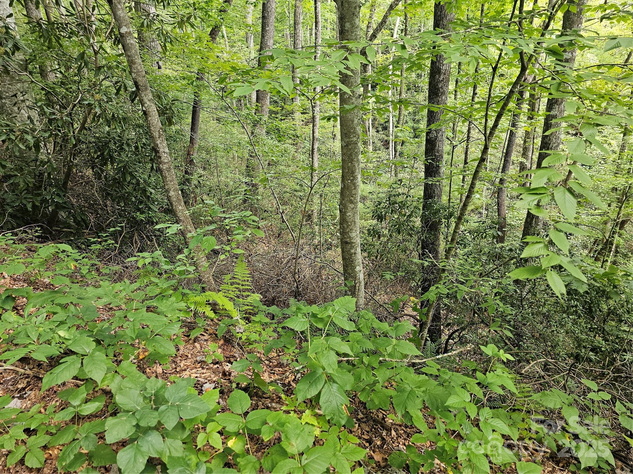 99999 Majestic Trace Hendersonville NC 28739