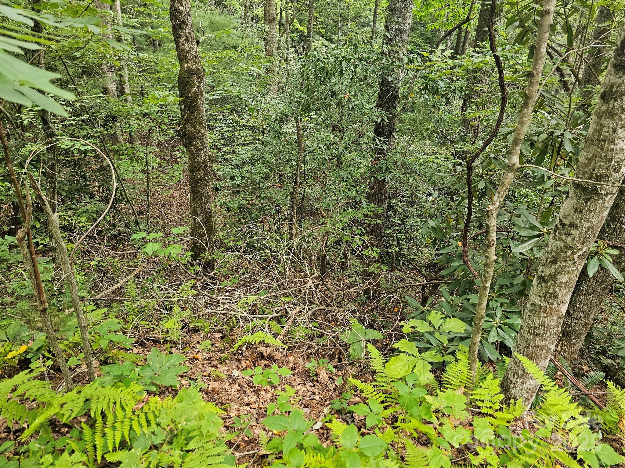 99999 Majestic Trace Hendersonville NC 28739