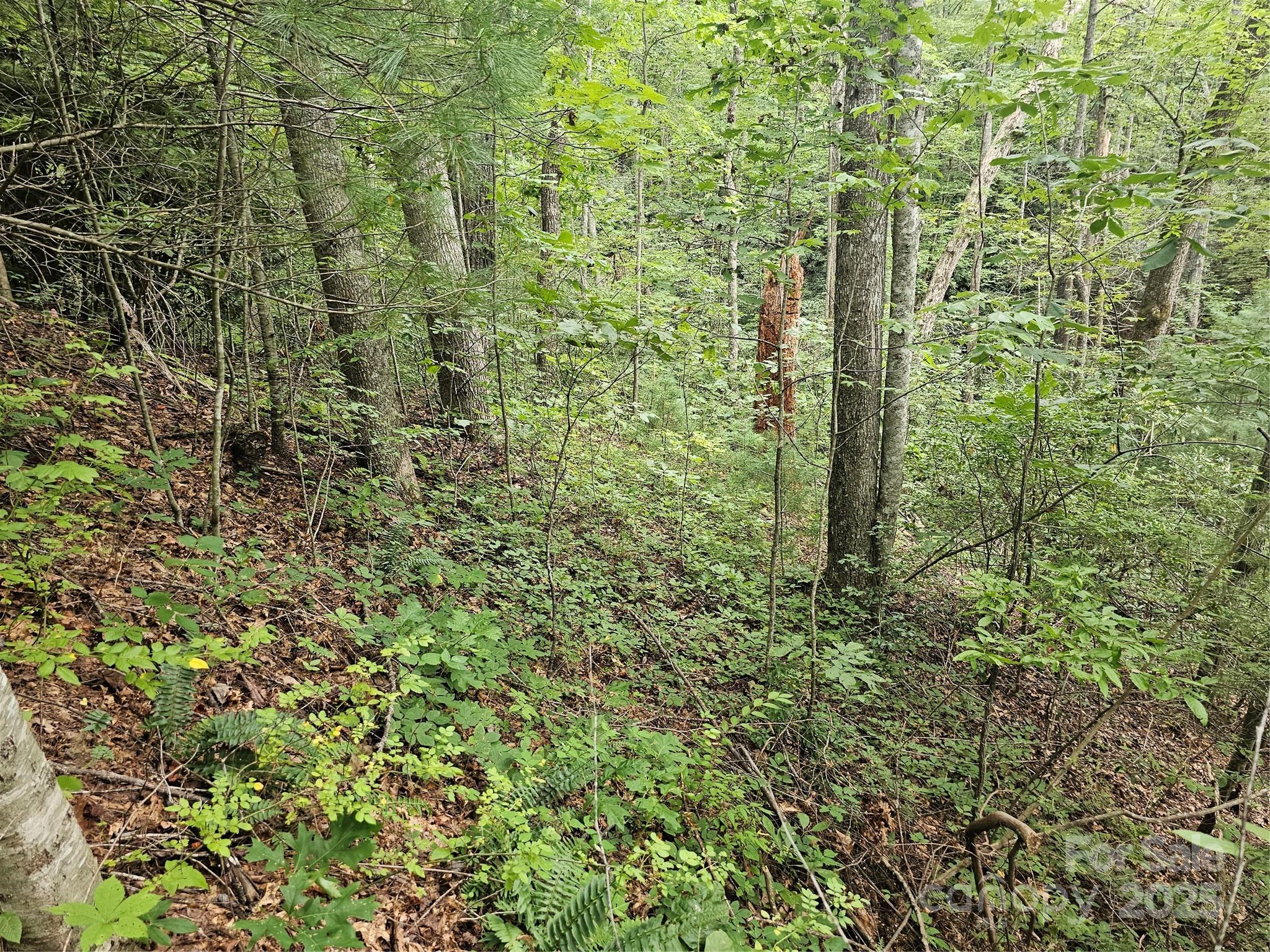 99999 Majestic Trace Hendersonville NC 28739