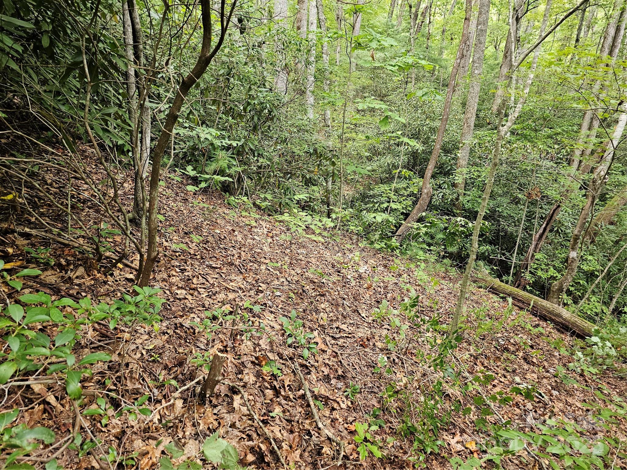 99999 Majestic Trace Hendersonville NC 28739