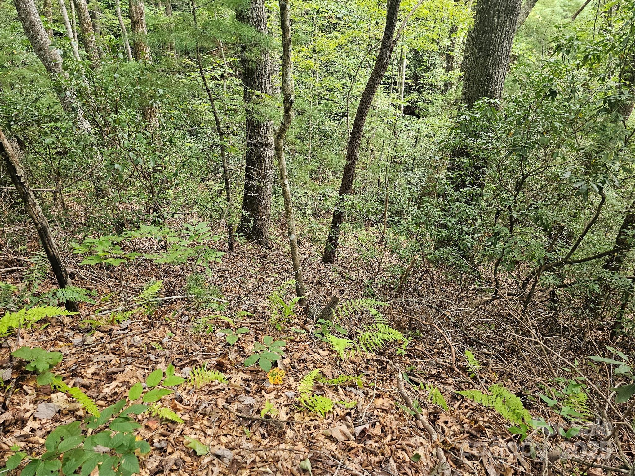 99999 Majestic Trace Hendersonville NC 28739