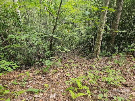99999 Majestic Trace Hendersonville NC 28739