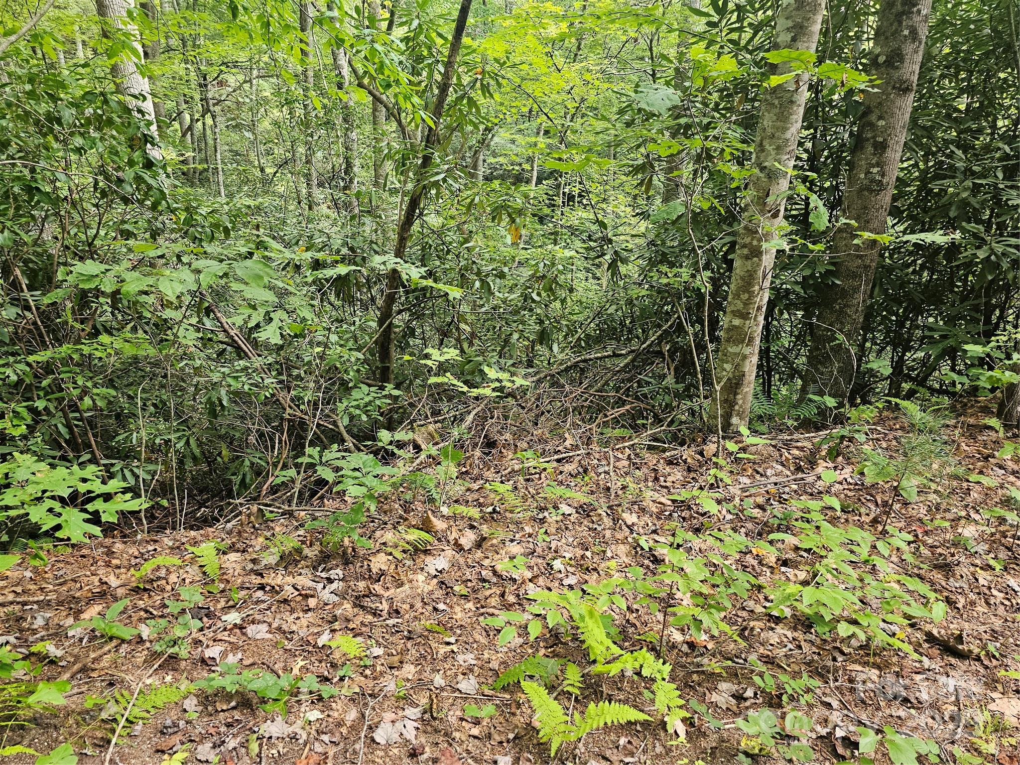 99999 Majestic Trace Hendersonville NC 28739