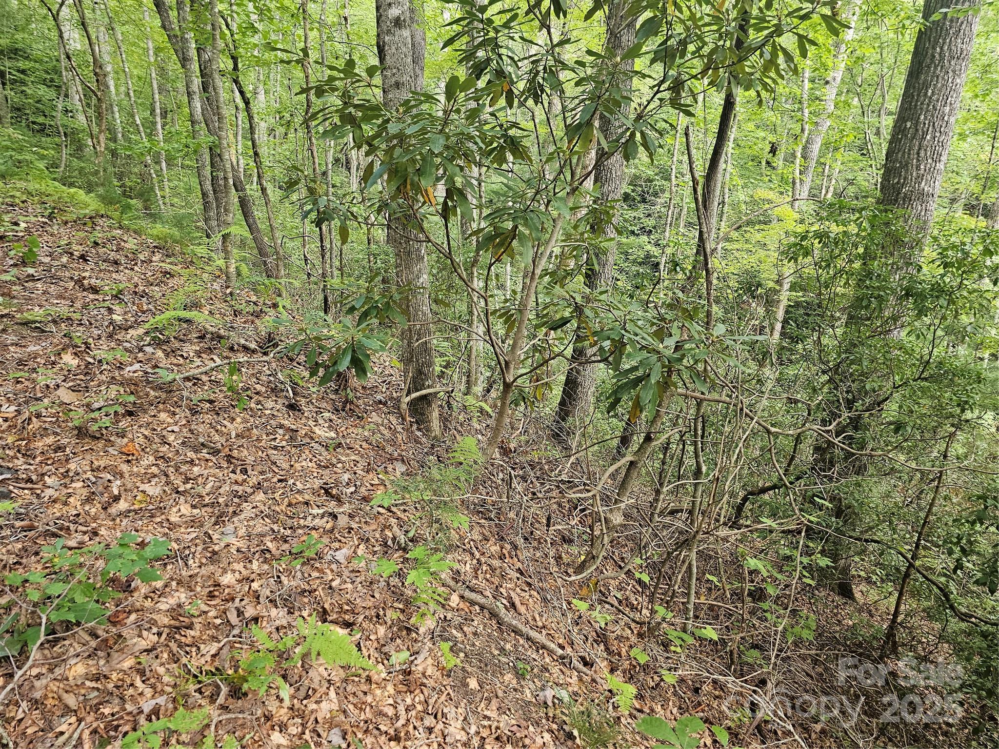 99999 Majestic Trace Hendersonville NC 28739