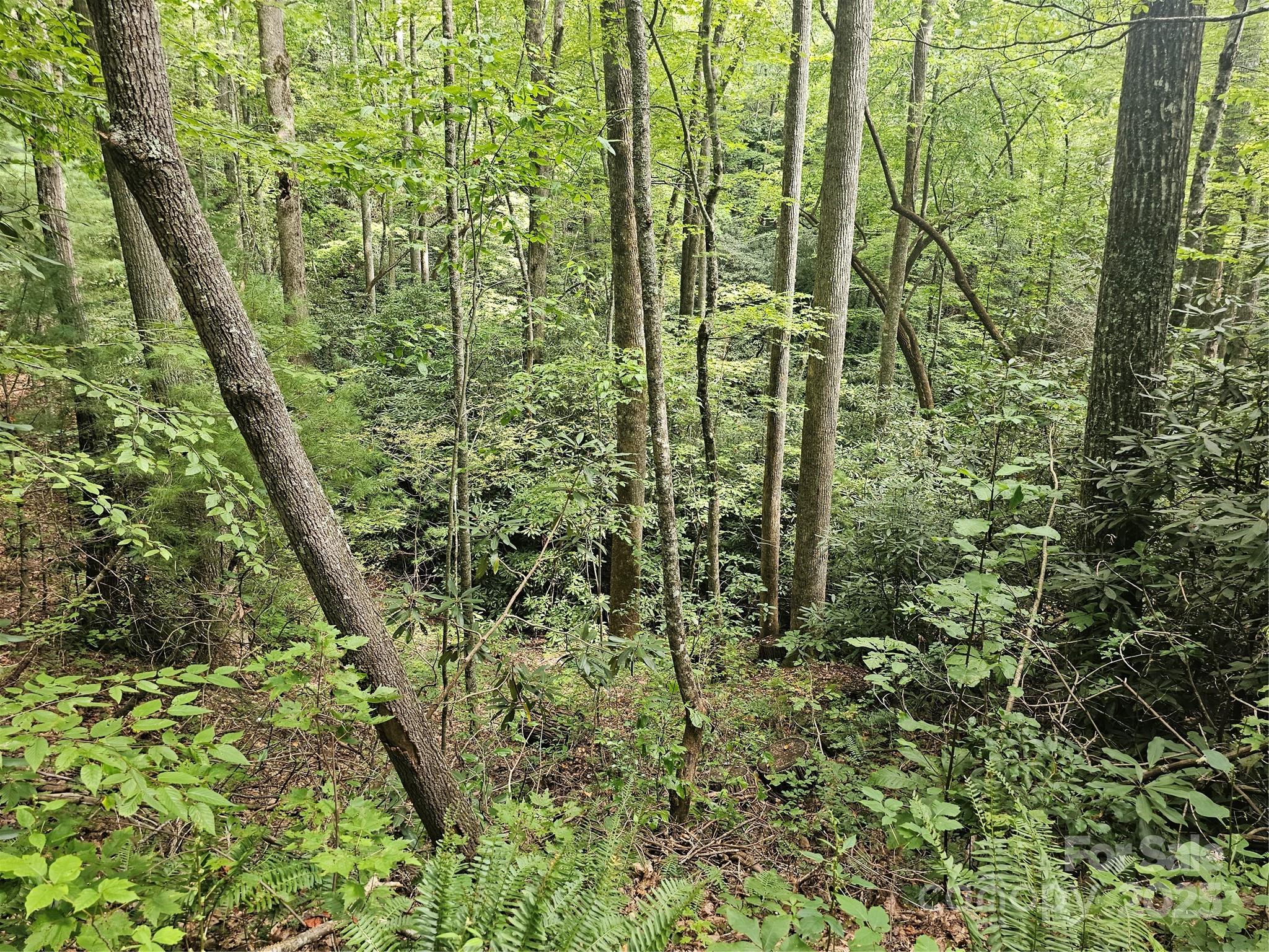 99999 Majestic Trace Hendersonville NC 28739