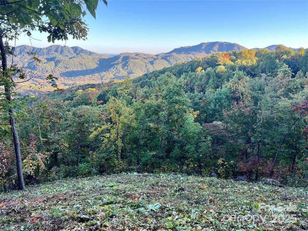 1591 Creston Drive Black Mountain NC 28711