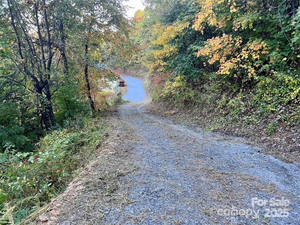 1591 Creston Drive Black Mountain NC 28711