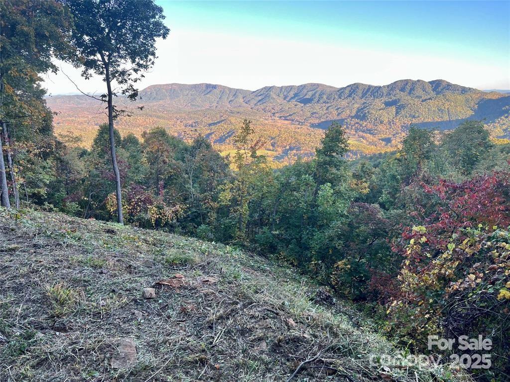 1591 Creston Drive Black Mountain NC 28711