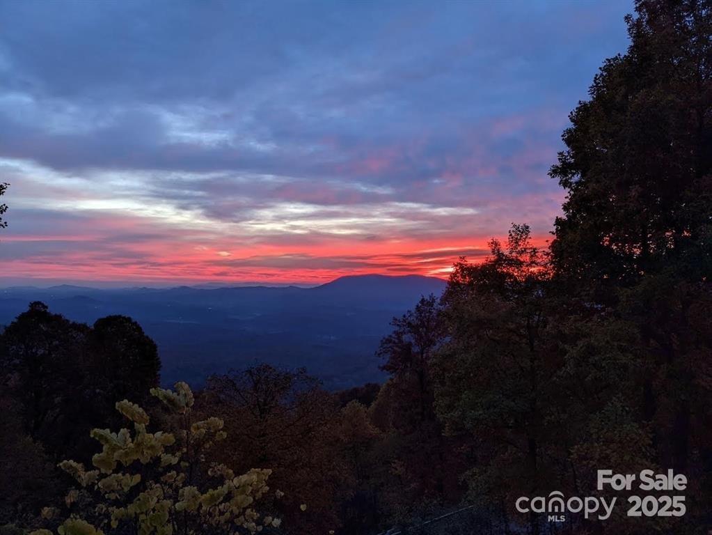 1591 Creston Drive Black Mountain NC 28711