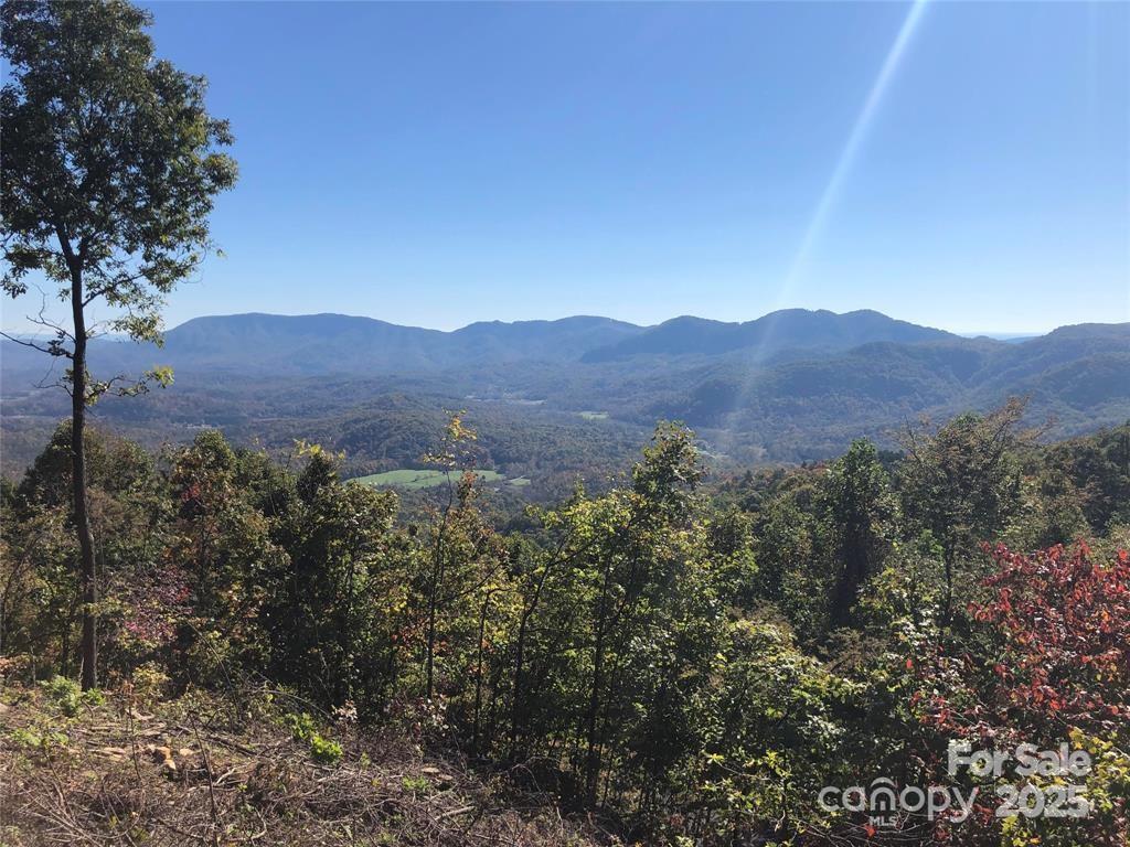 1591 Creston Drive Black Mountain NC 28711