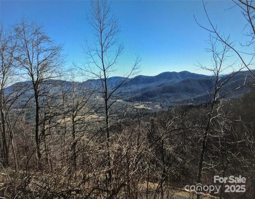 1591 Creston Drive Black Mountain NC 28711