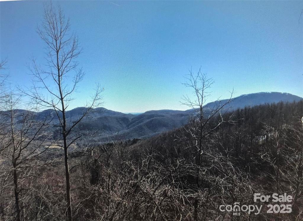 1591 Creston Drive Black Mountain NC 28711