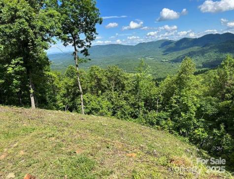 1591 Creston Drive Black Mountain NC 28711
