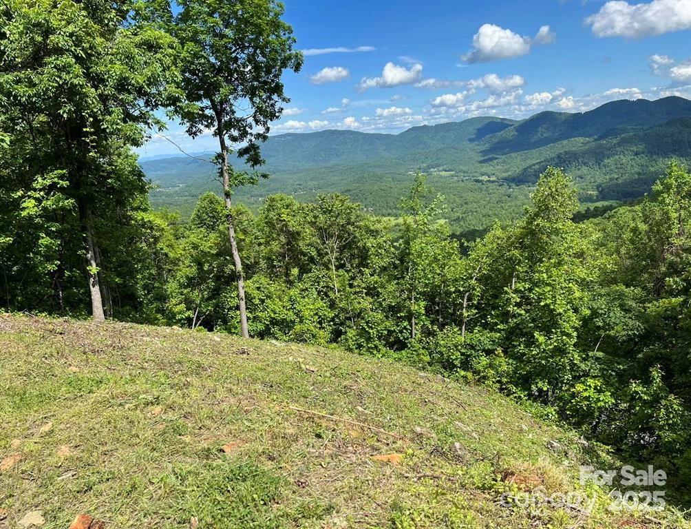 1591 Creston Drive Black Mountain NC 28711