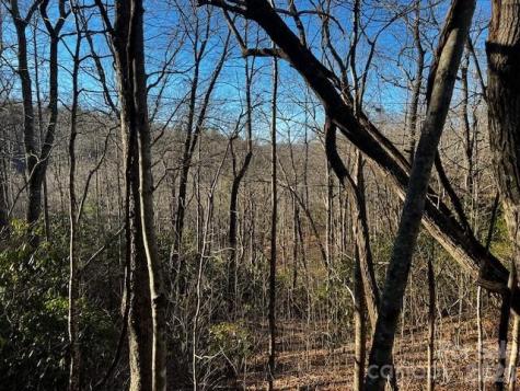 9999 Tessie Lane Black Mountain NC 28711