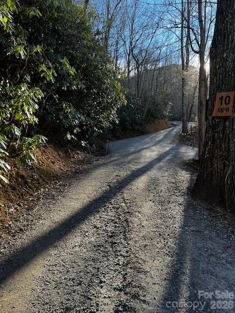 9999 Tessie Lane Black Mountain NC 28711