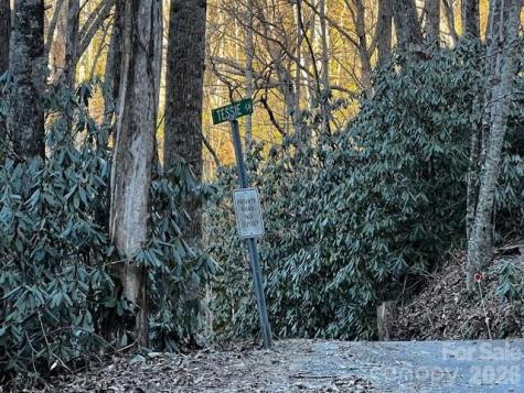 9999 Tessie Lane Black Mountain NC 28711