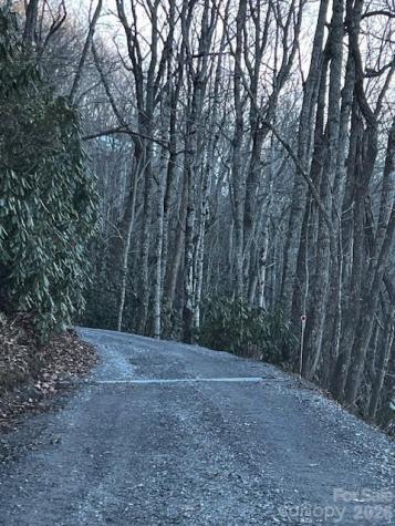 9999 Tessie Lane Black Mountain NC 28711