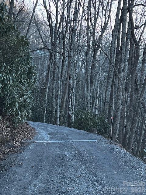 9999 Tessie Lane Black Mountain NC 28711