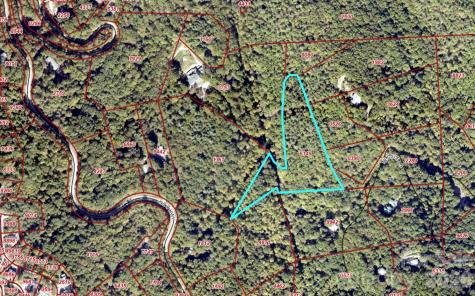 9999 Tessie Lane Black Mountain NC 28711