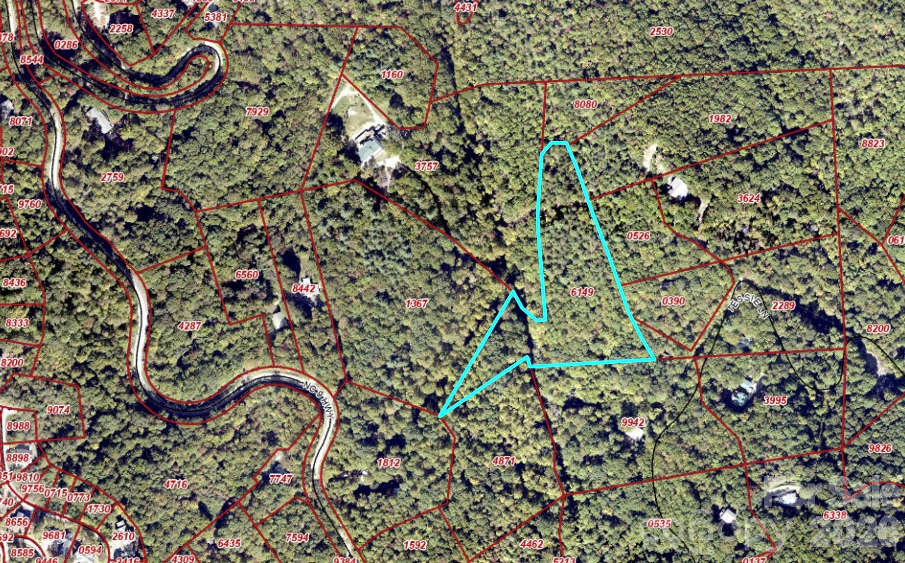 9999 Tessie Lane Black Mountain NC 28711