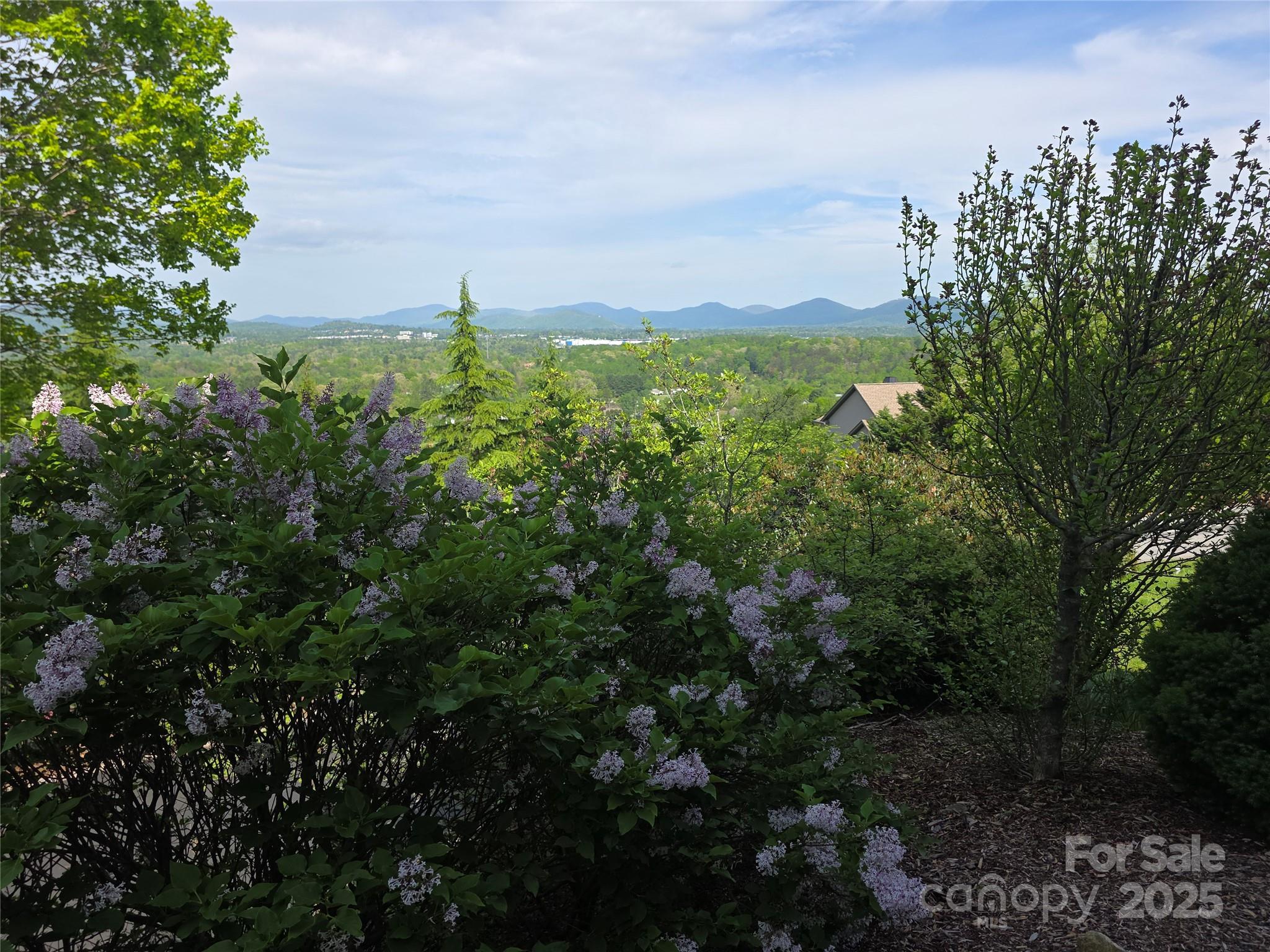 99999 Laurel Drive Mills River NC 28759