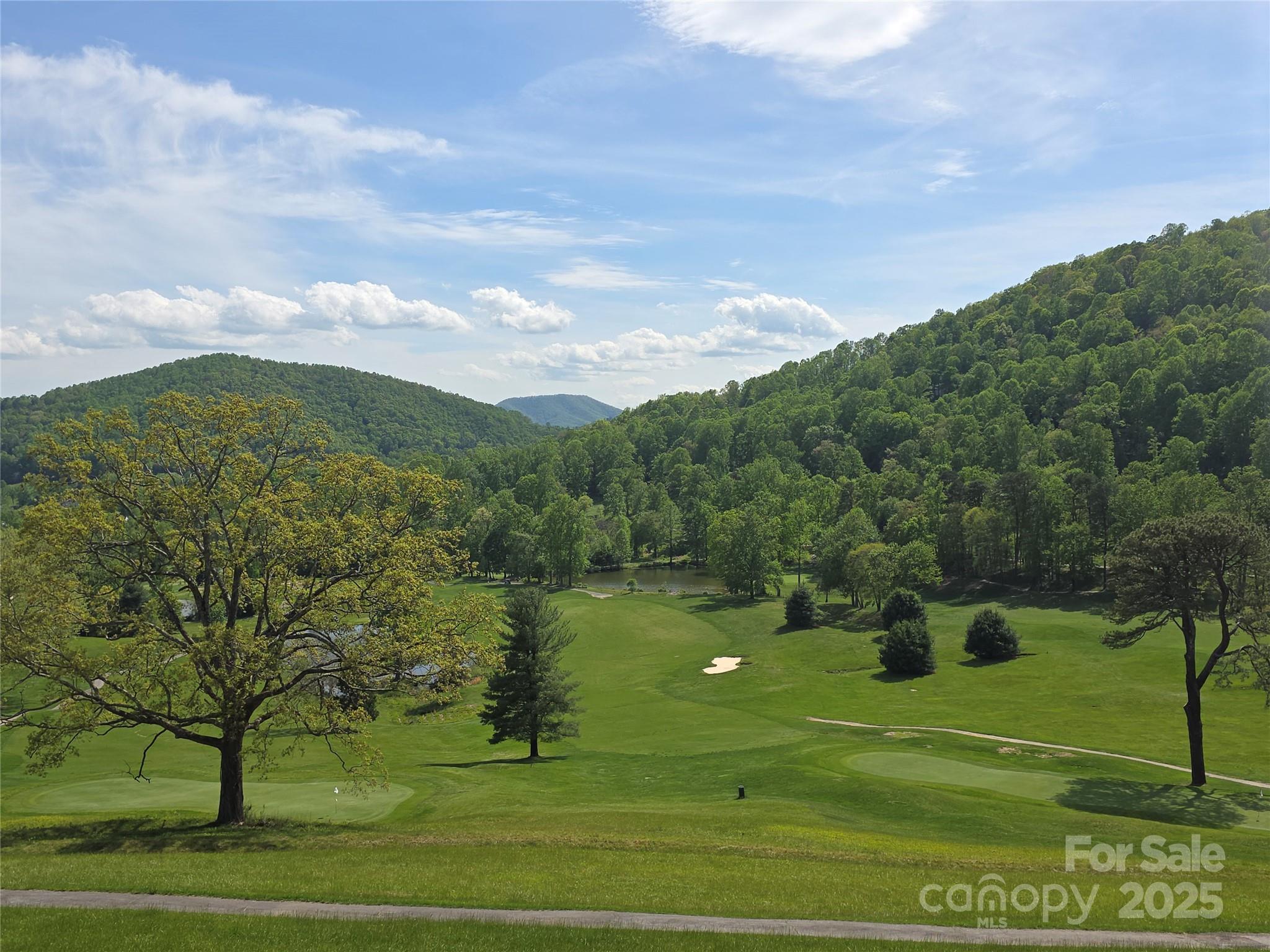 99999 Laurel Drive Mills River NC 28759