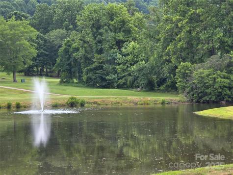 99999 Laurel Drive Mills River NC 28759