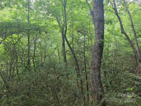 99999 Laurel Drive Mills River NC 28759