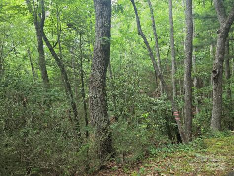 99999 Laurel Drive Mills River NC 28759