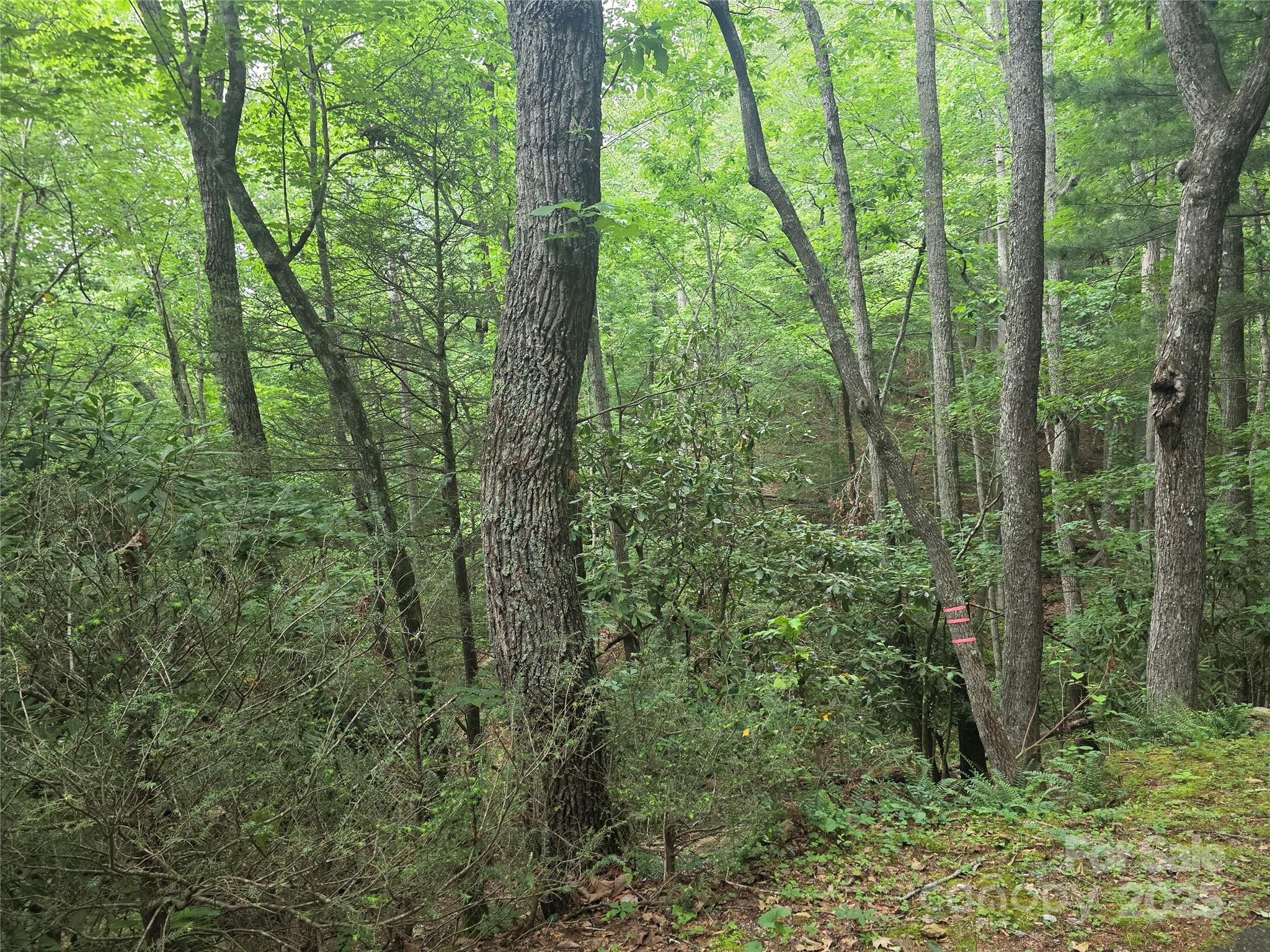 99999 Laurel Drive Mills River NC 28759