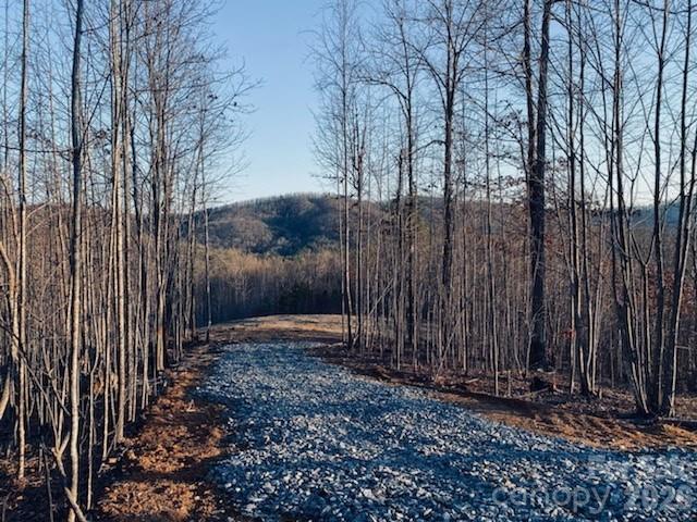 0 Osprey Lane Nebo NC 28761