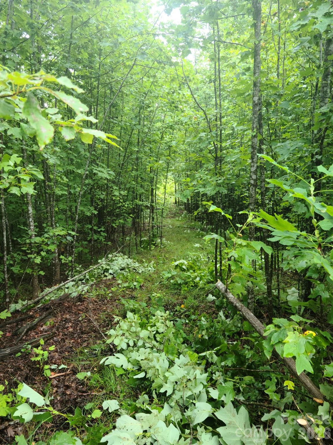 0 Osprey Lane Nebo NC 28761