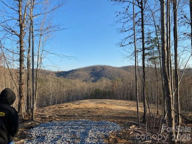0 Osprey Lane Nebo NC 28761