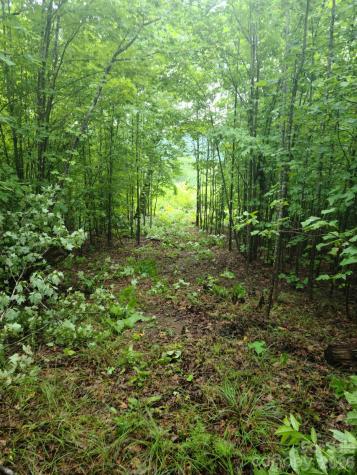 0 Osprey Lane Nebo NC 28761