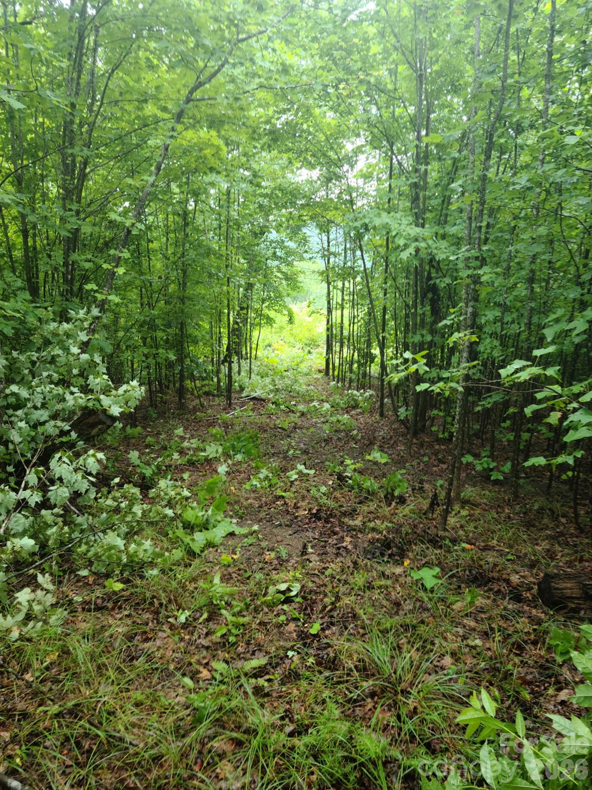 0 Osprey Lane Nebo NC 28761