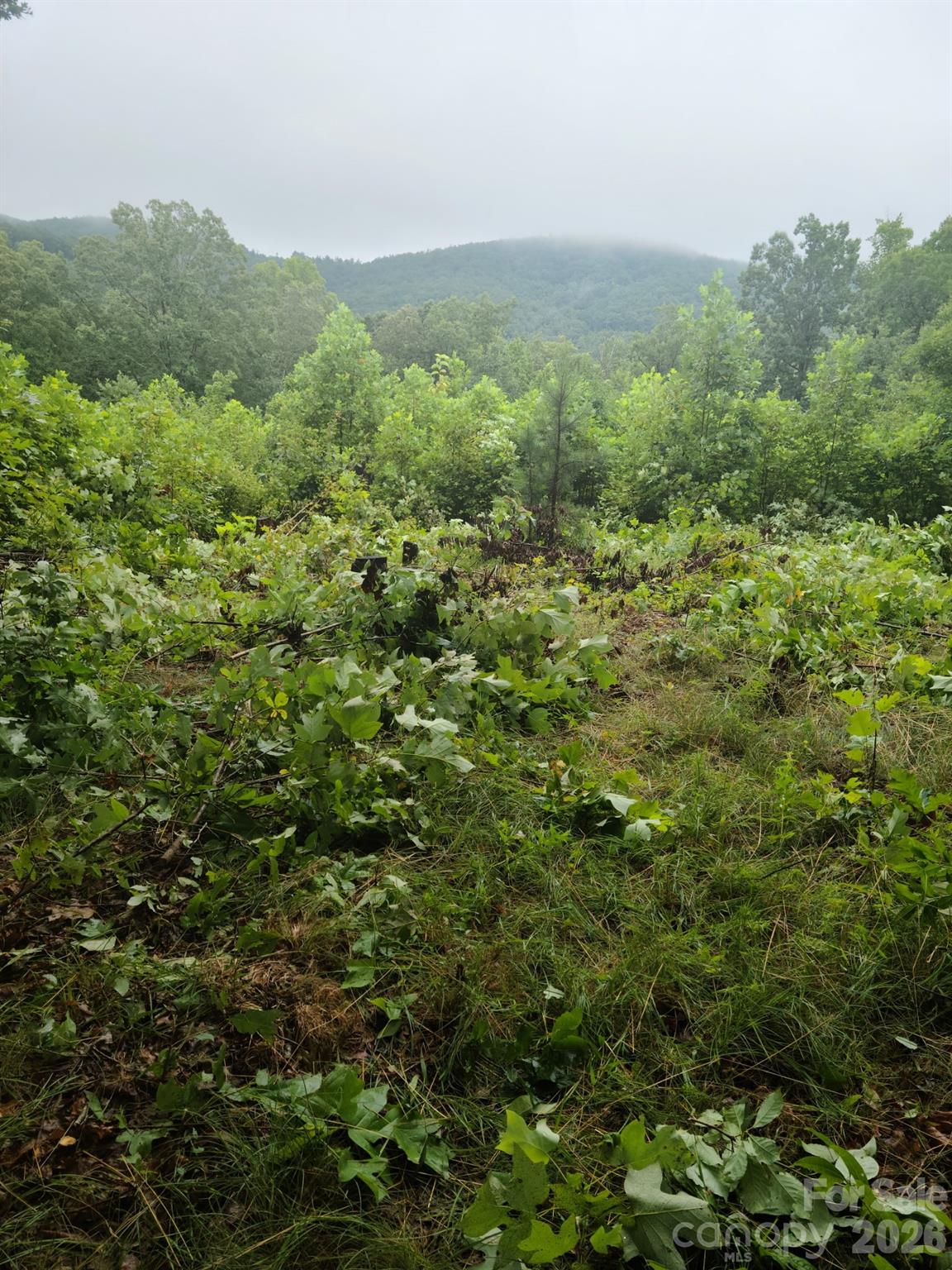 0 Osprey Lane Nebo NC 28761