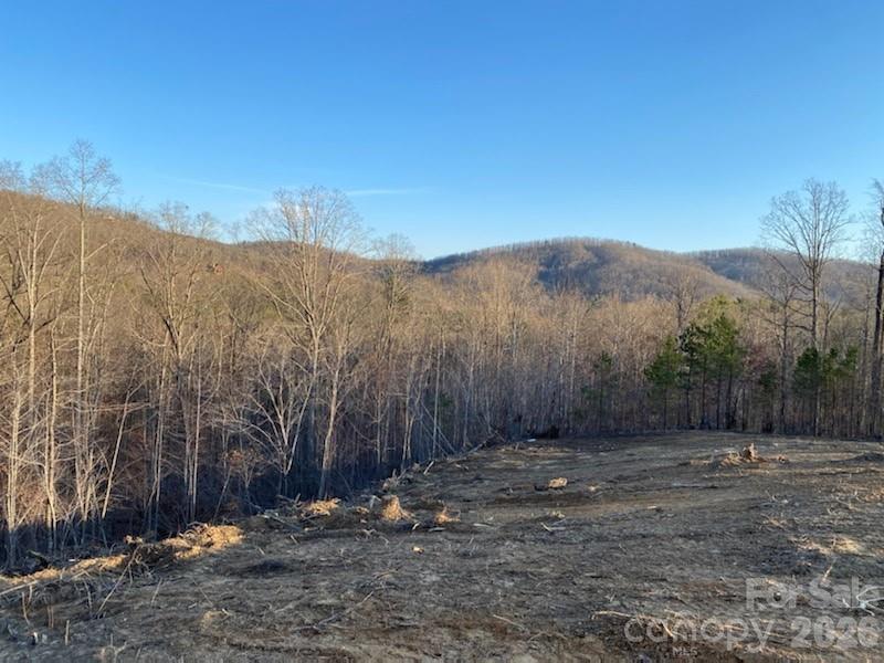 0 Osprey Lane Nebo NC 28761