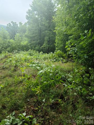 0 Osprey Lane Nebo NC 28761