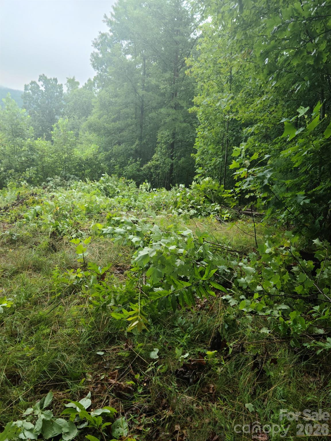 0 Osprey Lane Nebo NC 28761