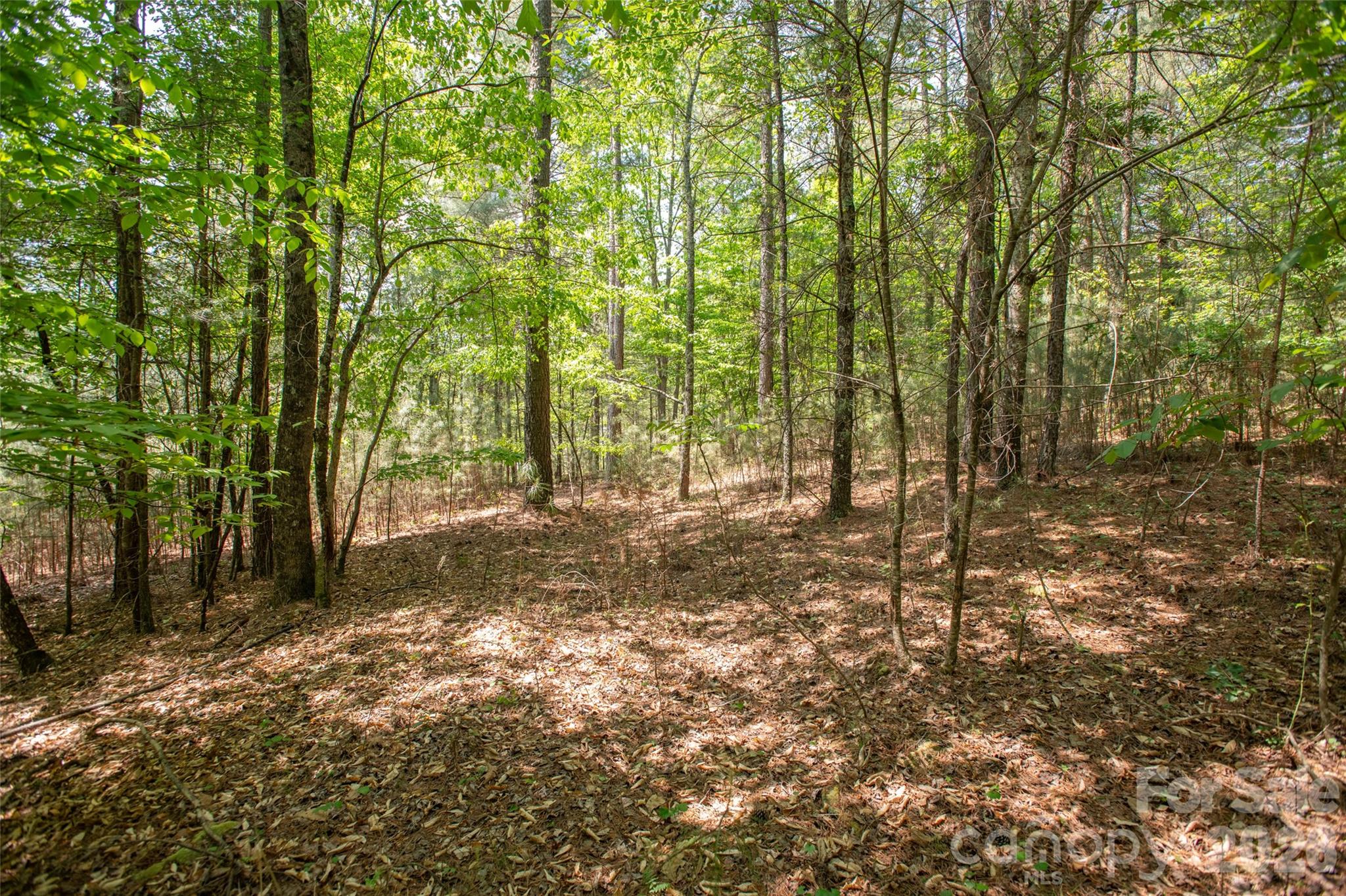 1518 W Paradise Harbor Drive Connelly Springs NC 28612