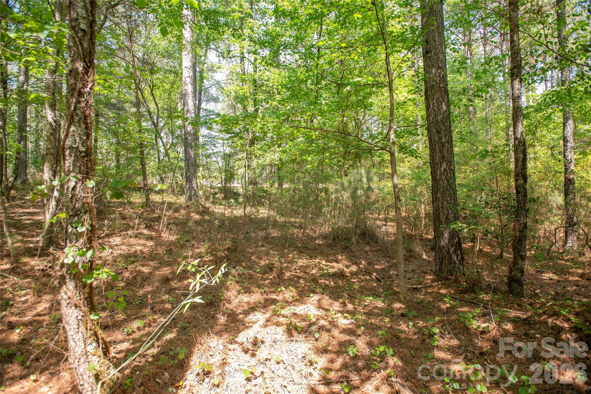 1518 W Paradise Harbor Drive Connelly Springs NC 28612