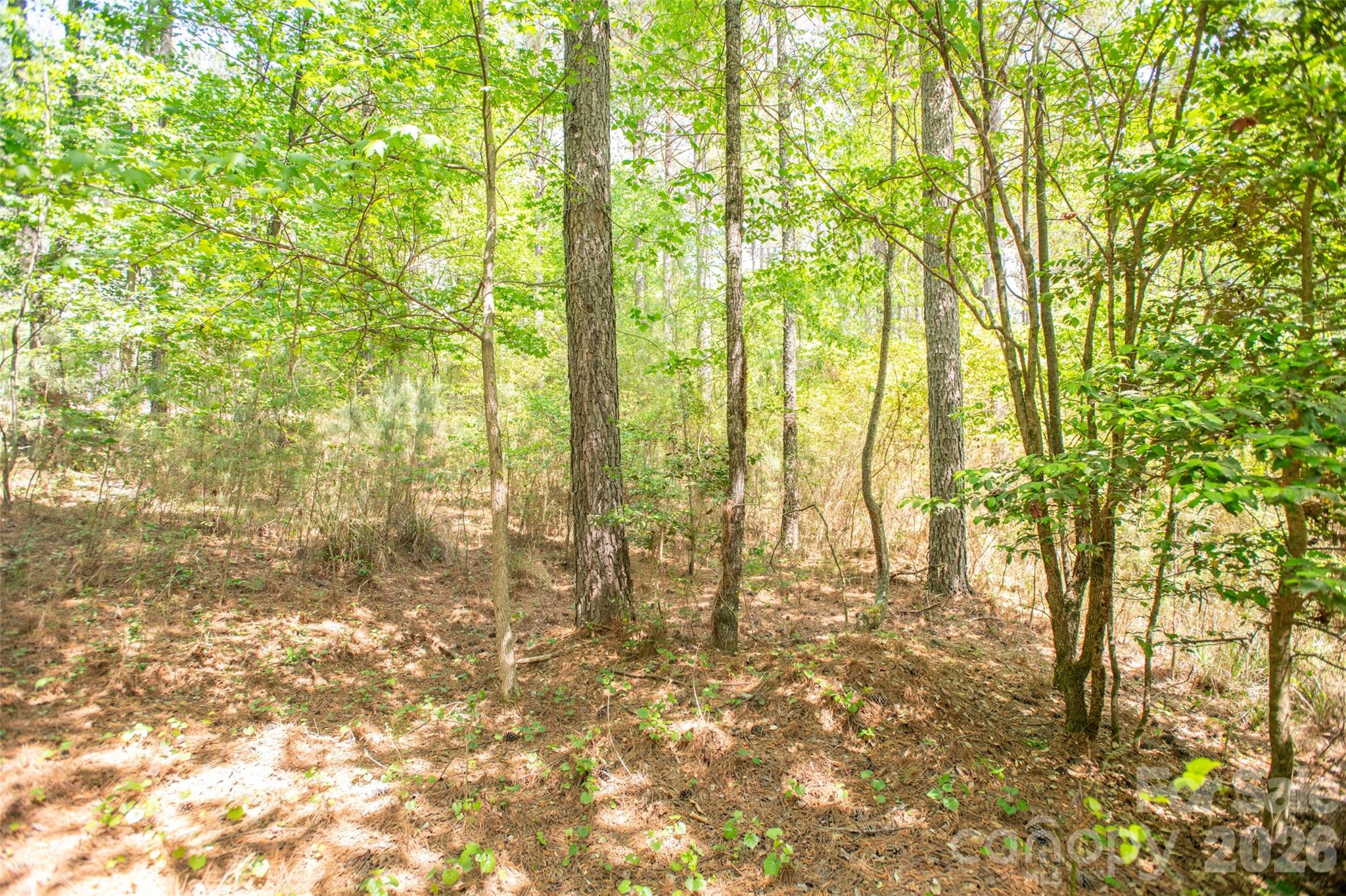 1518 W Paradise Harbor Drive Connelly Springs NC 28612