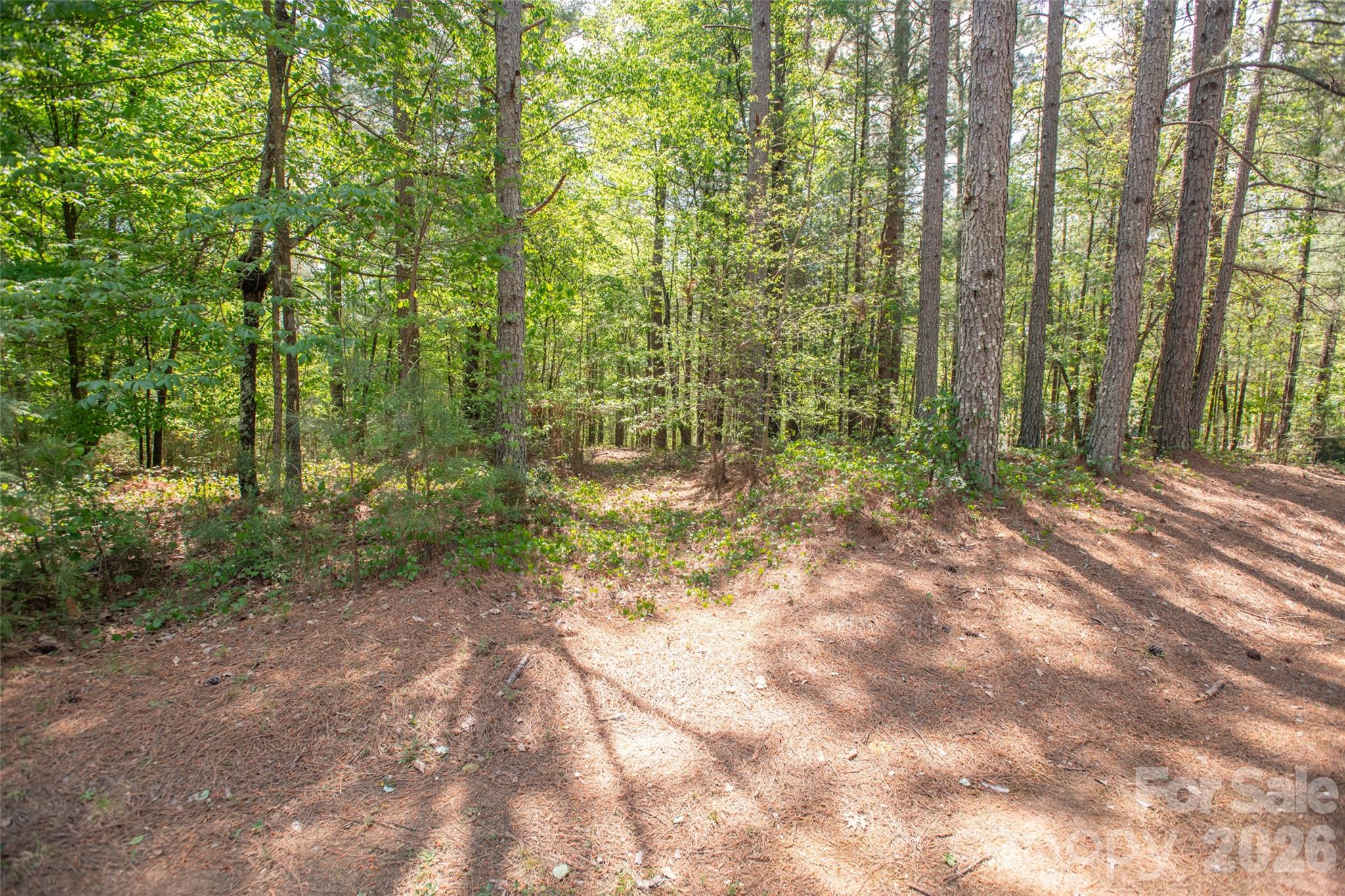 1518 W Paradise Harbor Drive Connelly Springs NC 28612