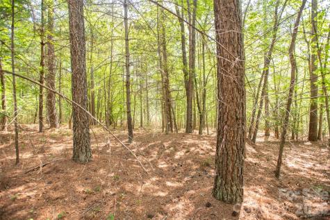 1518 W Paradise Harbor Drive Connelly Springs NC 28612