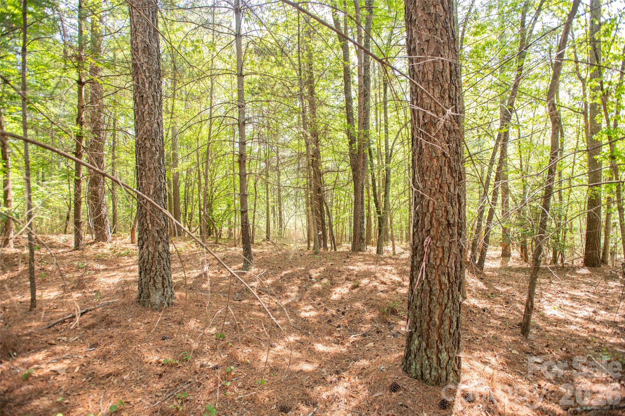 1518 W Paradise Harbor Drive Connelly Springs NC 28612