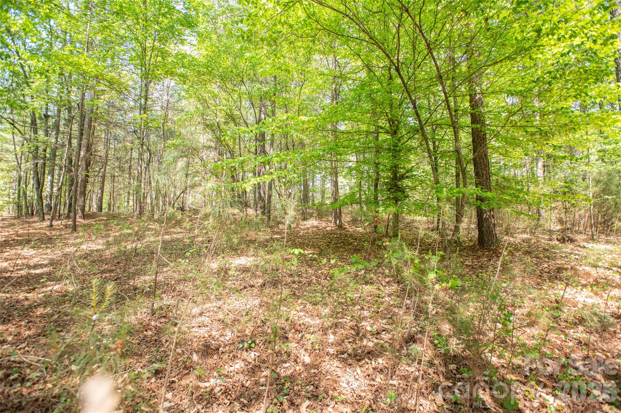 1518 W Paradise Harbor Drive Connelly Springs NC 28612