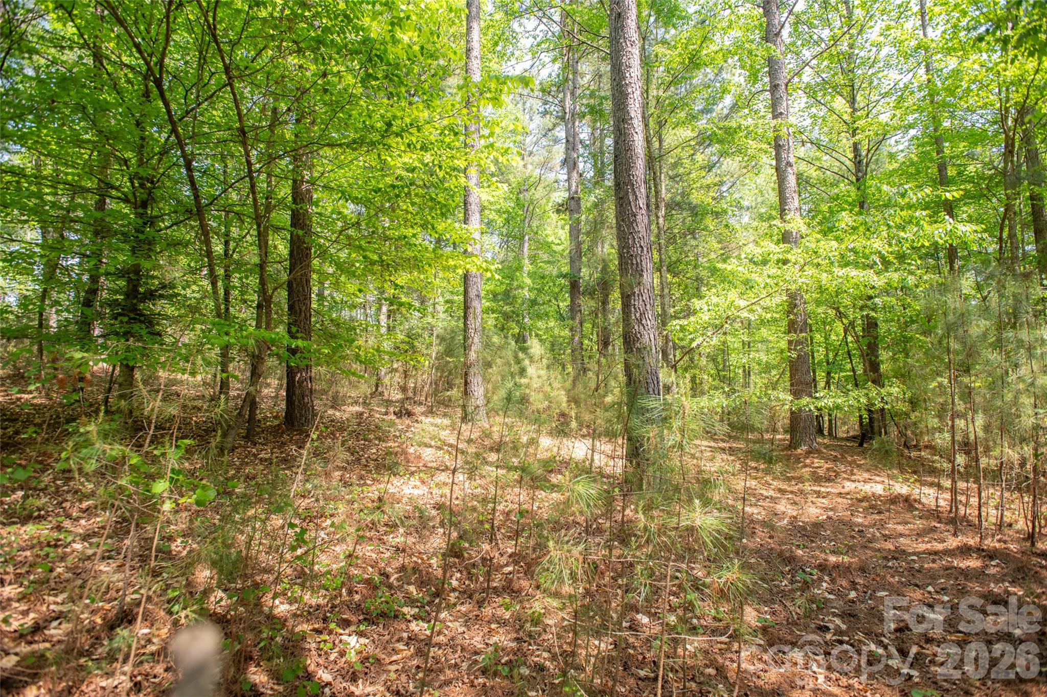 1518 W Paradise Harbor Drive Connelly Springs NC 28612